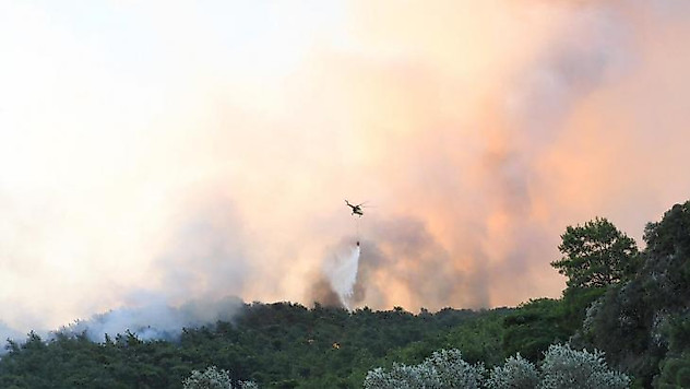 Muğla'daki yangın kontrol altına alındı