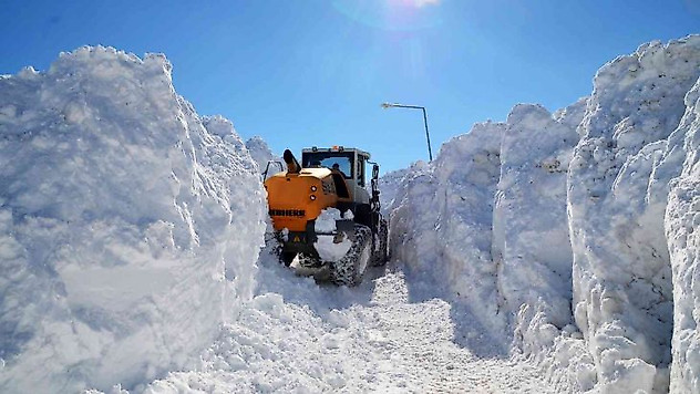 Muş'ta 5 metrelik karda yol açma çalışması