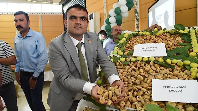 Nazilli'de sezonun ilk kuru inciri kilosu 400 TL'den satıldı