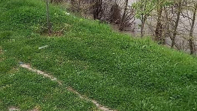 Nehre atlayan kadını ekipler kurtardı