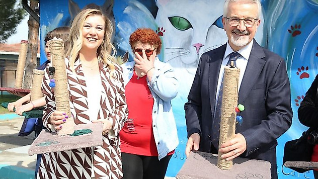 Nilüfer'de kedilere özel hizmet
