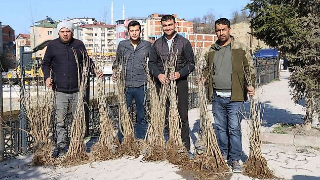 Ordu'da ipek böcekçiliği yaygınlaşıyor