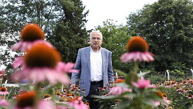 Ordu, tıbbi ve aromatik bitki üretimine göz kırpıyor