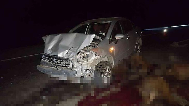 Otomobil sürüye çarptı: 30 koyun telef oldu