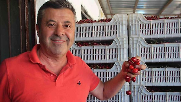 Bilecik'te 30 yıldır kurulan 'Kiraz Borsası'