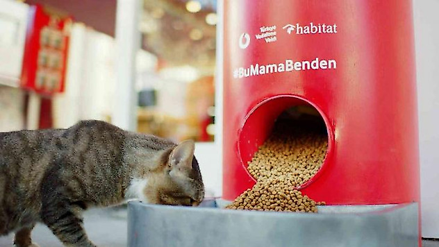 Pet shop alışverişi sokak hayvanları için mamaya dönüşüyor
