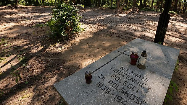 Polonya'da Nazi kurbanı 8 bin kişinin külleri bulundu