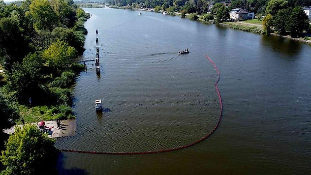 Polonya'nın Oder Nehri'nden 100 ton ölü balık çıkarıldı