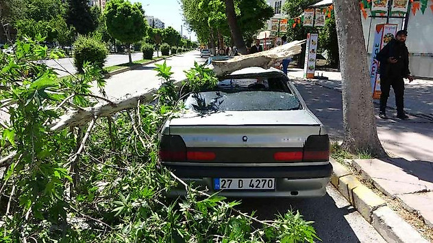 Rüzgarda kırılan dal otomobilin üzerine düştü