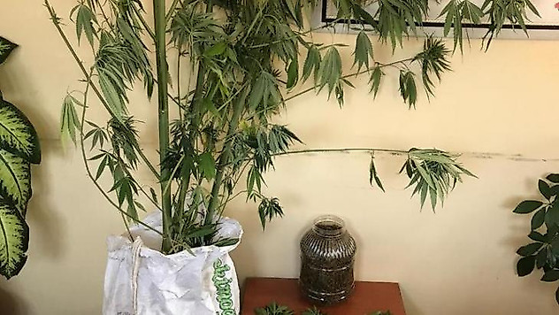 Sakarya'da uyuşturucu operasyonları: 5 gözaltı