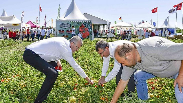 Salçalık domateste marka olan Karacabey'de domates fuarı
