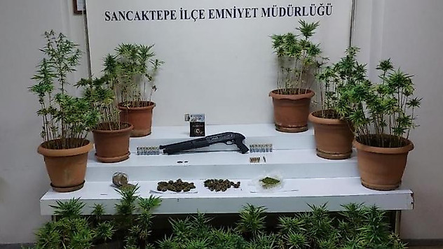 Sancaktepe'de evinde uyuşturucu yetiştirip satan şahıs yakalandı