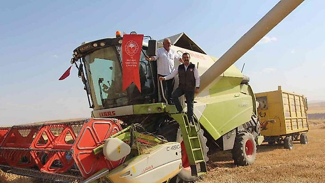 Siirt'te buğday hasadında sona gelindi, 125 bin ton verim bekleniyor
