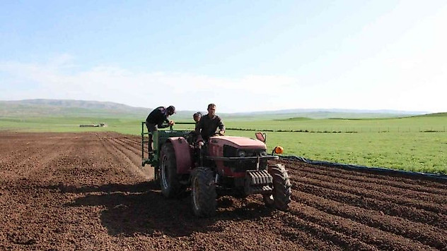 Siirt'te patates tohumu deneme ekimi yapıldı
