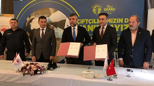 Şile'de 25 bin hayvanın aşılaması ücretsiz gerçekleştiriliyor
