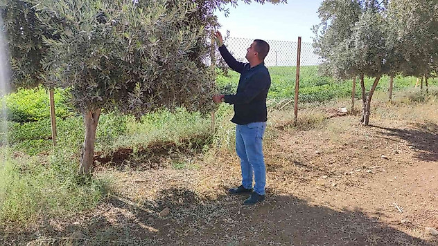 Şırnak'ta çiftçiler kuraklığı baraj sularıyla aşmak istiyor