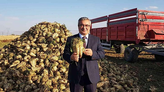 Sukkar, 530 bin ton pancar üretimi hedefliyor