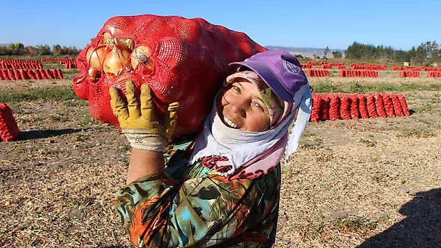 Suluova soğanına coğrafi işaret tescili