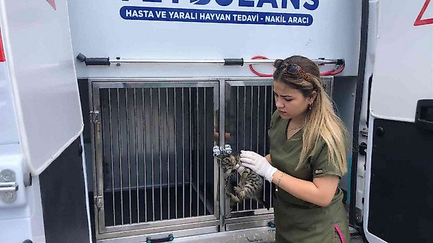 Tatilde 303 can dostun tedavileri gerçekleştirildi