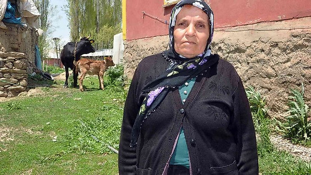 Tek geçim kaynağı olan ineği ölen kadına bakanlıktan sürpriz