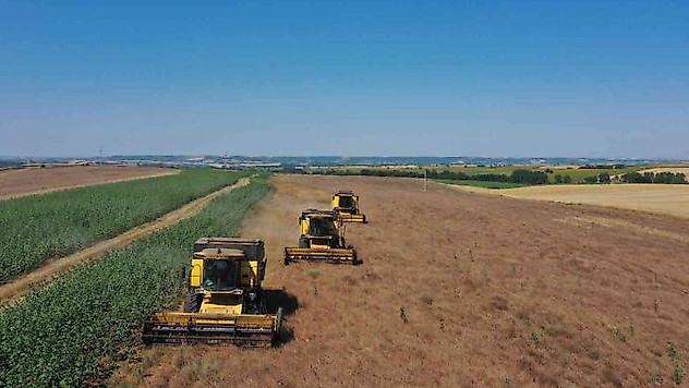 Tekirdağ'da yerli ve milli tohumlardan 60 ton ürün elde edilecek