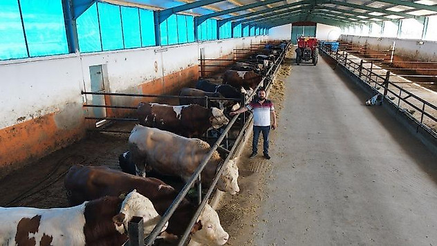 TKDK verdi, kendi besi çiftliğini kurdu