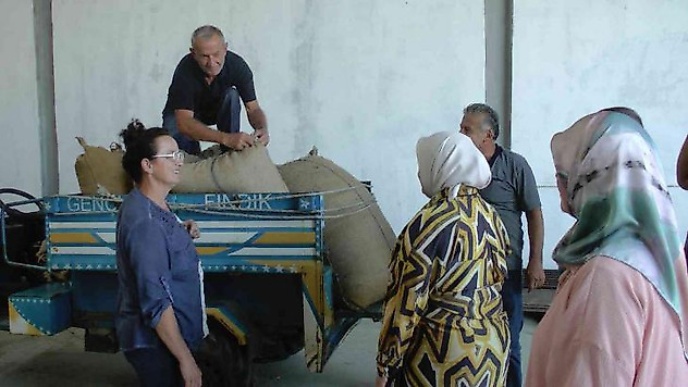TMO Akçakoca'dan 600 ton fındık aldı