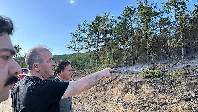 Tokat'ta 5 hektar ormanlık alan zara gördü