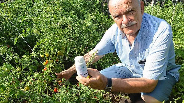 Toros Dağları'nın kekiği her derde deva