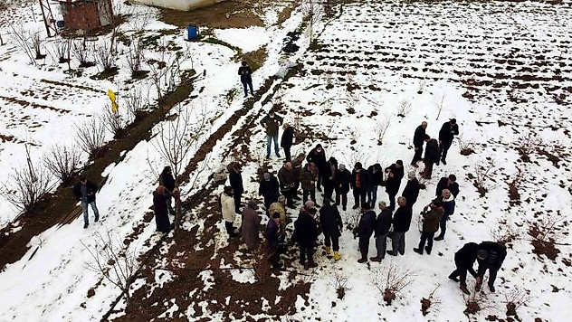 Türkiye'deki yaban mersininin üçte biri Bursa'da üretiliyor