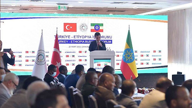 Türkiye-Etiyopya iş forumuna geniş katılım