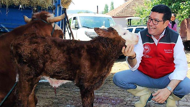 Türkiye'ye örnek proje 'Buzağım Doğdu' ihbar hattı