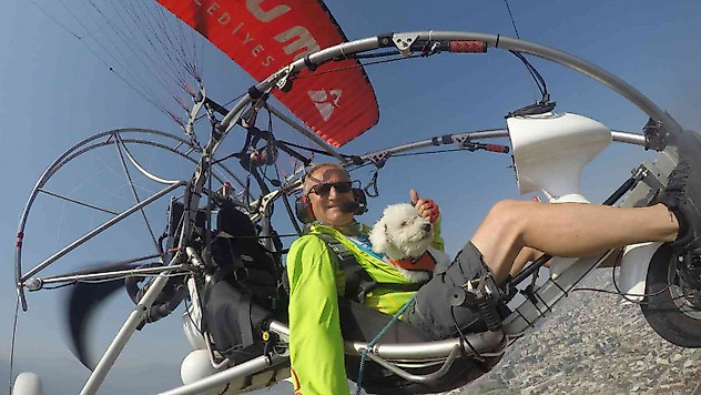 Uçma meraklısı köpek uçmadığı zaman strese giriyor
