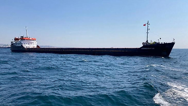 Ukrayna'dan tahıl taşıyan gemi Tekirdağ'a ulaştı