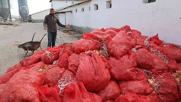 Üreticilerin elinde kalan soğanlar depolarda çürüyor