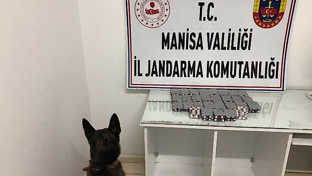 Uyuşturucu tacirleri jandarmaya yakalandı