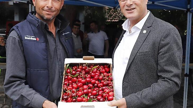 Üzümün başkentinde kiraz festivali