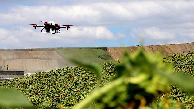 Yalova'da çayır tırtılı ile dronlu mücadele