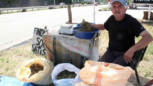 Yeni sezon fındığı yol kenarlarında satışa çıktı