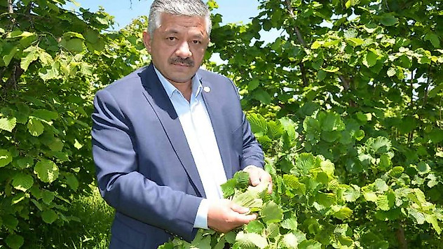 Yeni sezon fındık fiyatlarında 50 lira beklentisi