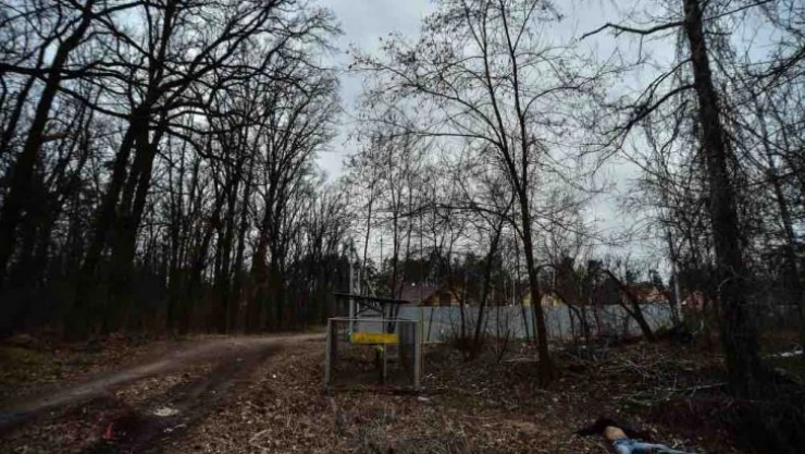 Almanya: Buça vahşetinin sorumlusu Rusya'dır