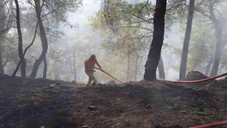 Antalya'da çıkan orman yangını kontrol altına alındı