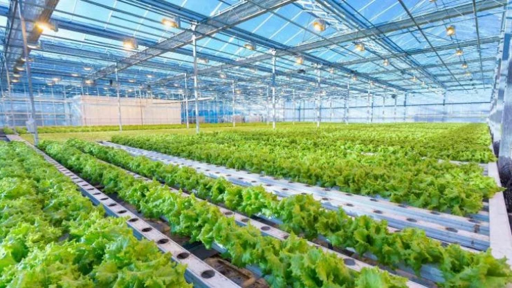 Assan Panel Azerbaycan tesisinde yeni ürün üretimine başladı