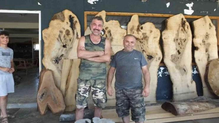 Balıkesir'de atık ağaçlar maharetli ellerde sanat eserine dönüşüyor