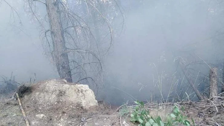 Burdur'da orman yangını