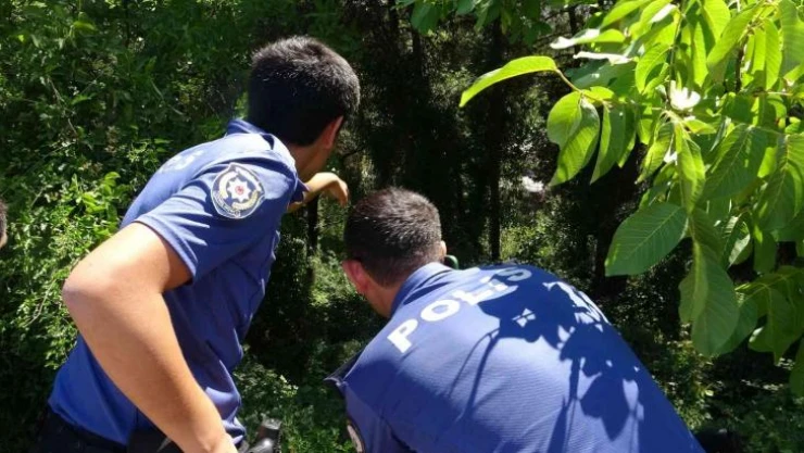 Bursa'da gezinmek için çıktığı yoldan 30 metre aşağıya düştü