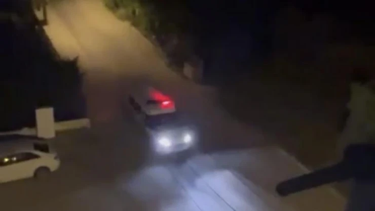 Bursa'da polis şehir merkezine inen domuzu sirenle kovaladı