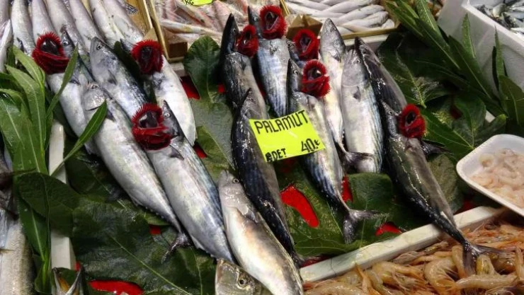 Çanakkale'de sezonun ilk palamutları tezgaha çıktı