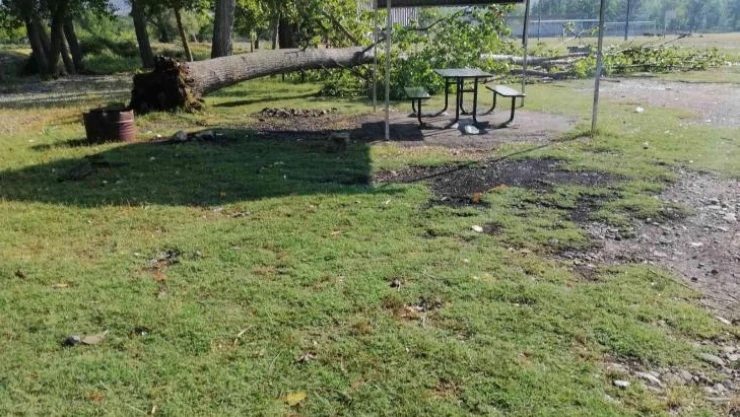 Çorum'da fırtına ağaçları kökünden söktü