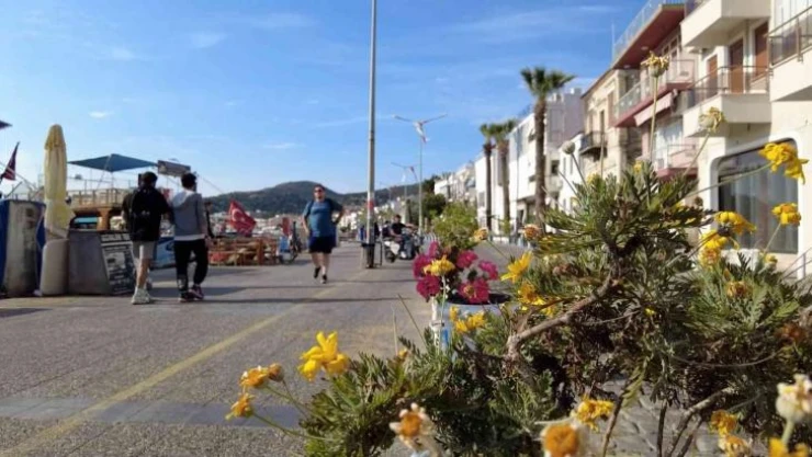 Foça, yaz sezonuna hazır